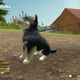 Illustration for article titled New Pet Sim For Switch Is No iNintendogs/i But Its Still Better Than My Real Dog